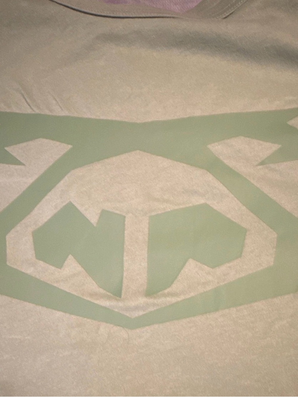 Nasty Pig Green on Green
Graphic Logo Deep
Shredder Tank Top T-shirt- NWT Large - Picture 4 of 10